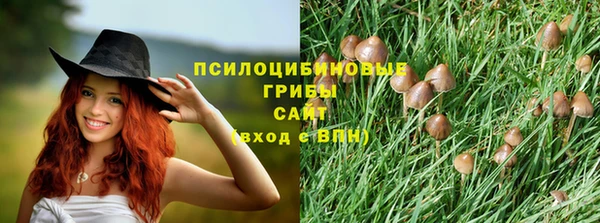 дмт Армянск