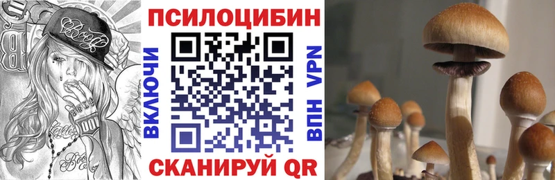 Купить закладки  Сим  Псилоцибиновые грибы Psilocybe 